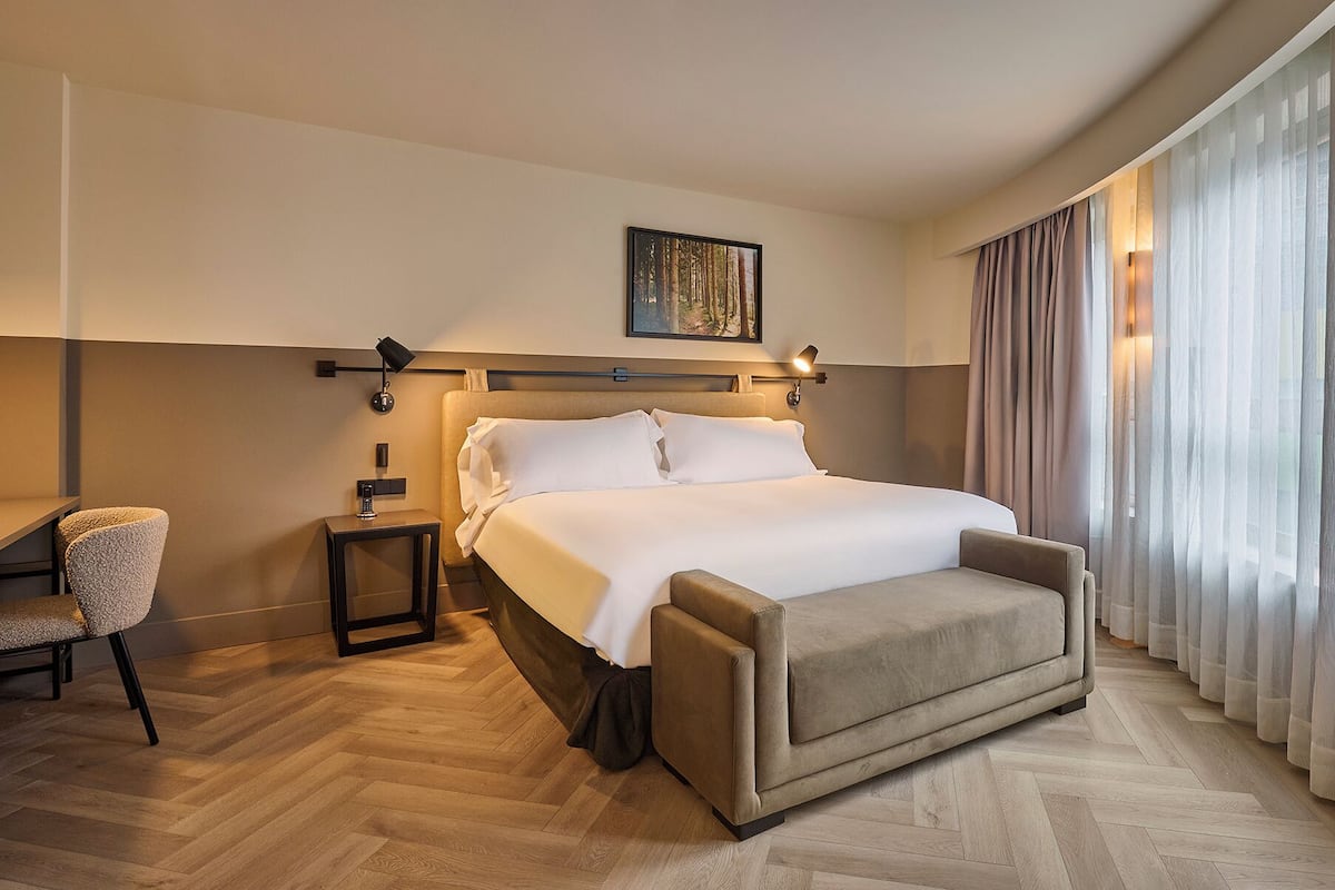 Una habitación de hotel con una cama grande, un escritorio pequeño, una silla y un sofá.