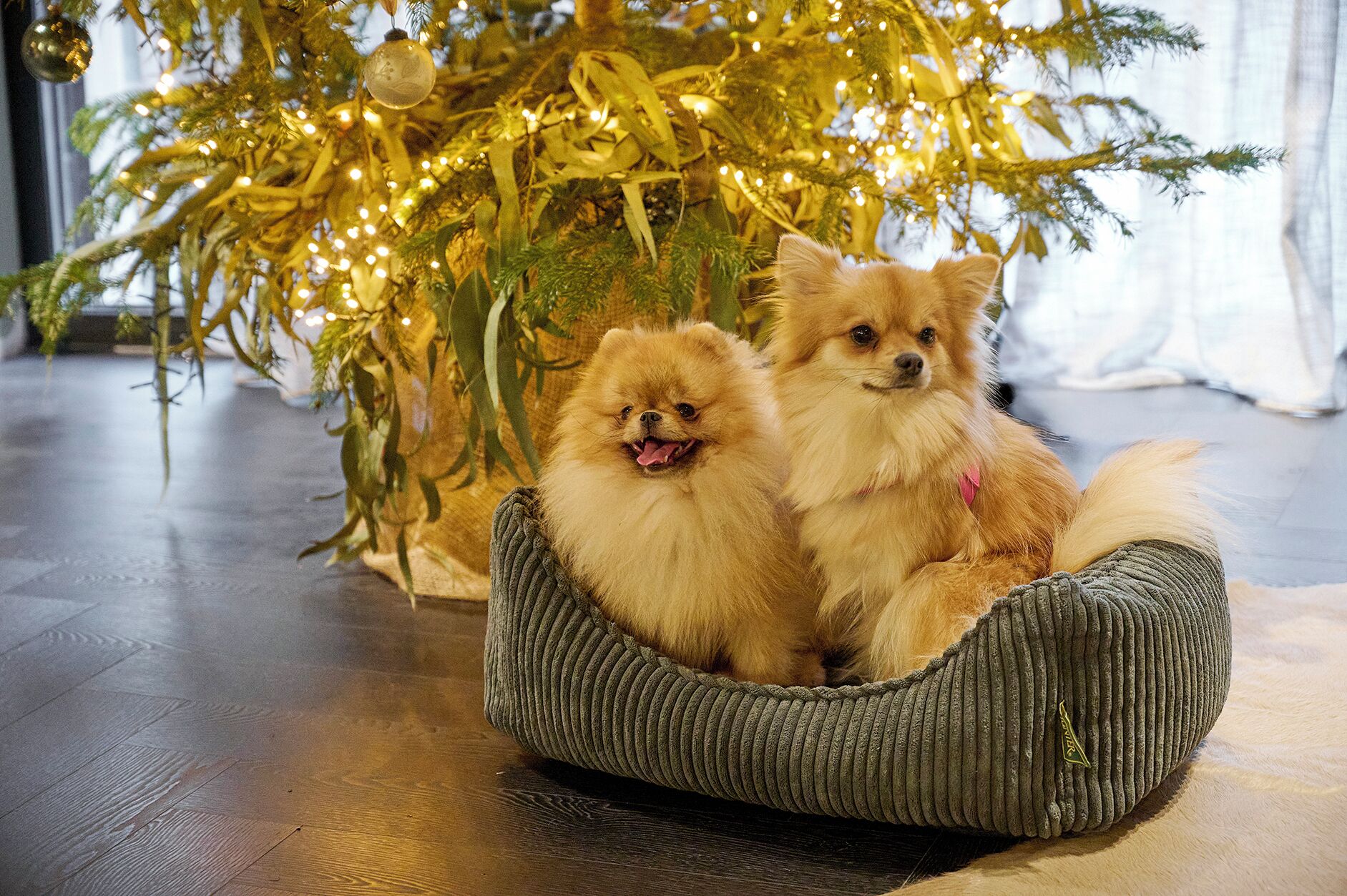 Foto - Eurostars Andorra