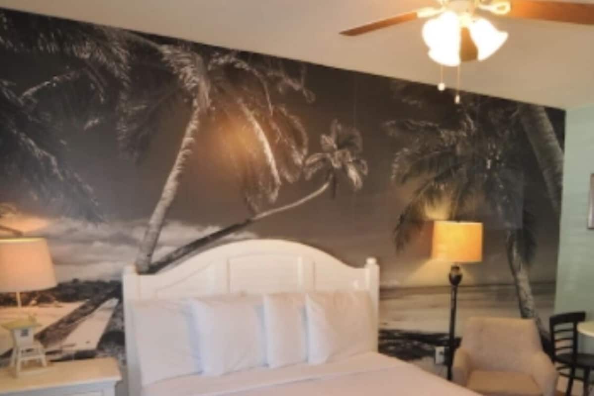 A bedroom with a bed, a ceiling fan, a nightstand, a lamp, and a chair.