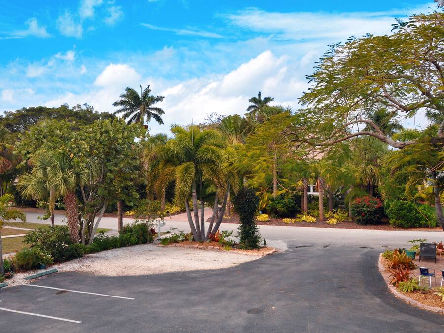 A parking lot with a clear sky, surrounded by lush greenery and palm trees.