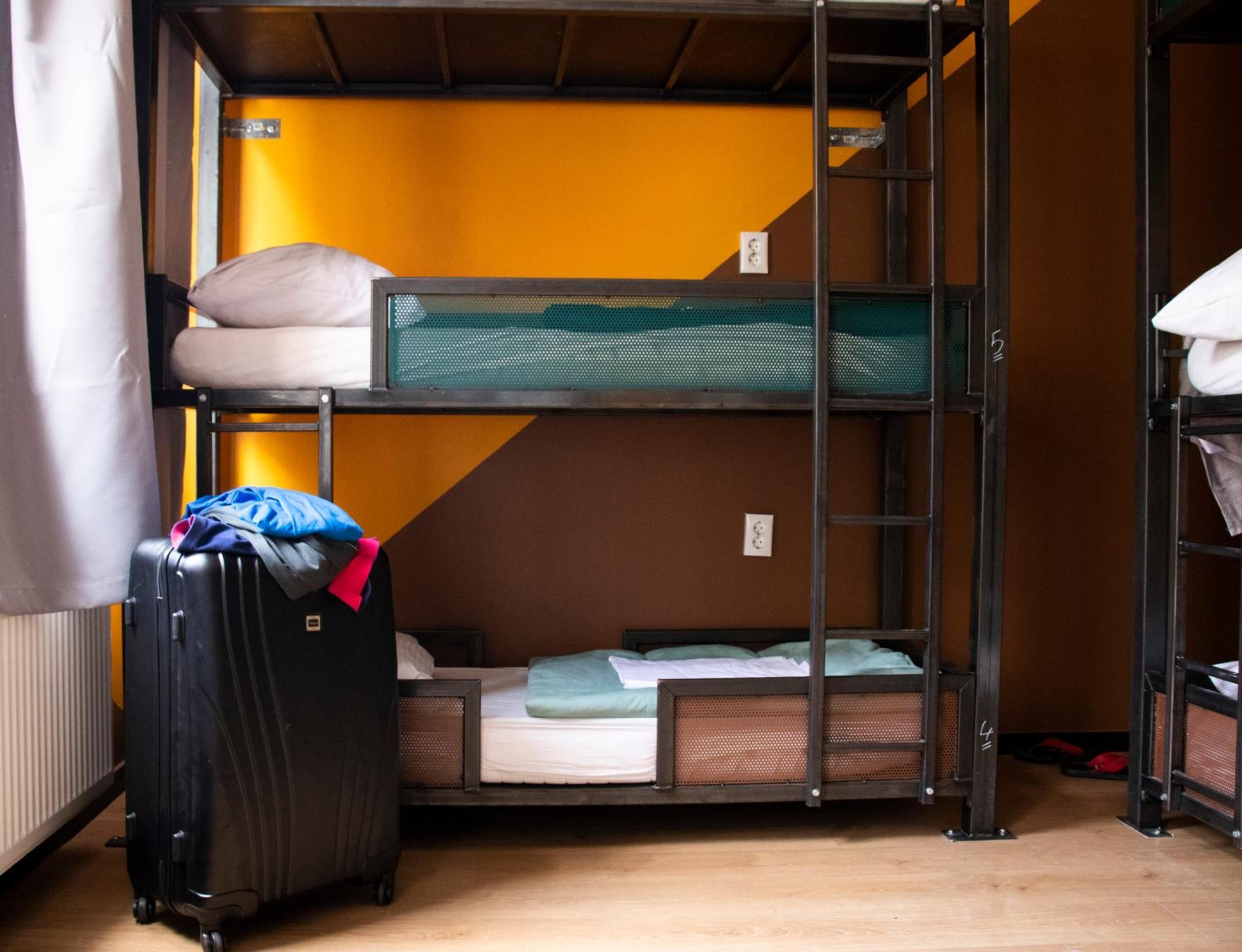 A bunk bed room with a suitcase and a ladder.