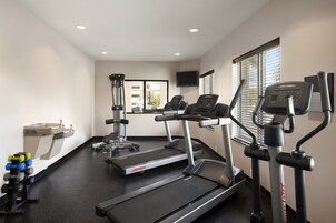 Un gimnasio con cintas de correr, un banco de pesas y mancuernas.