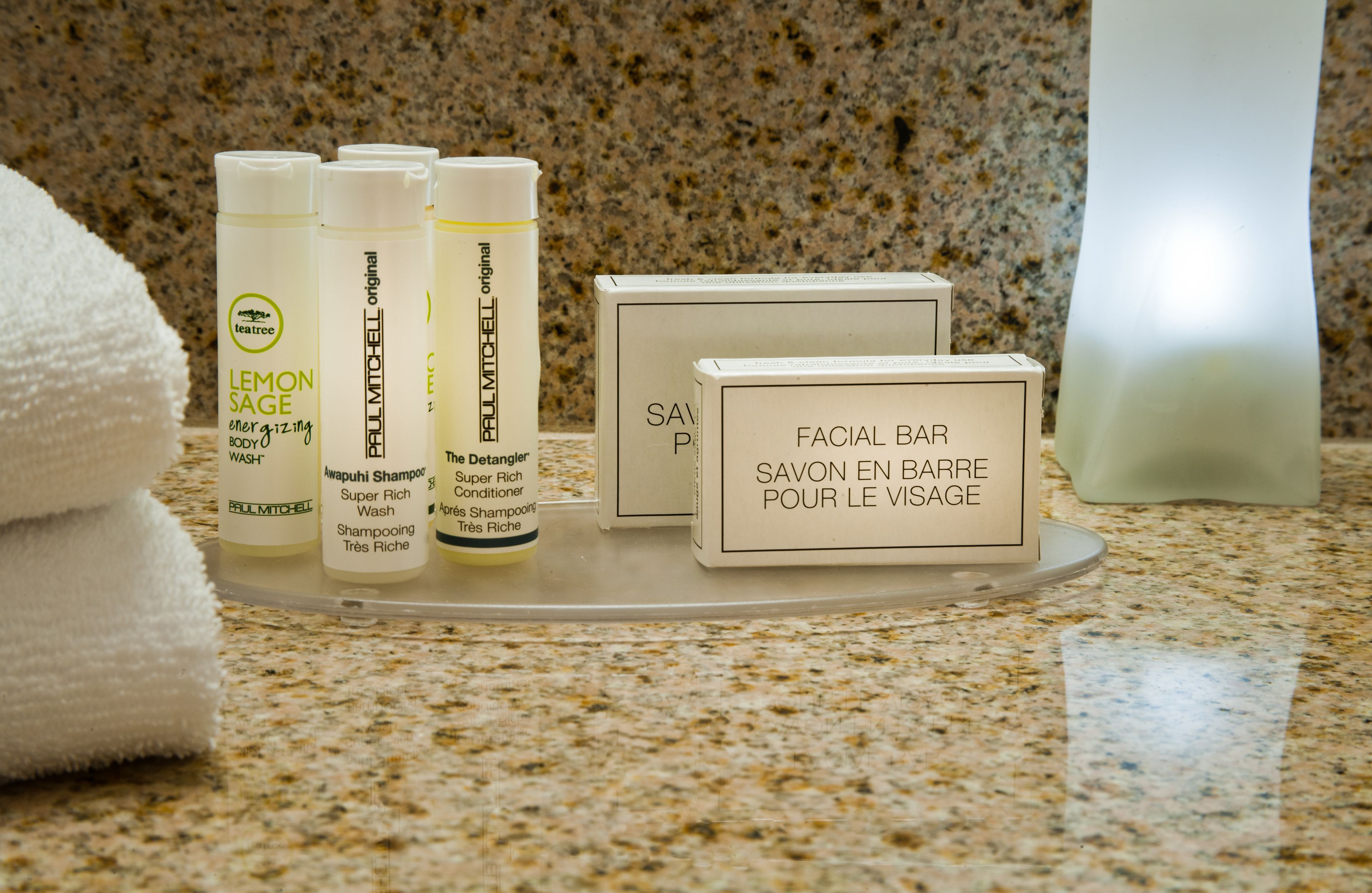 combined shower/bathtub, free toiletries, hair dryer, towels