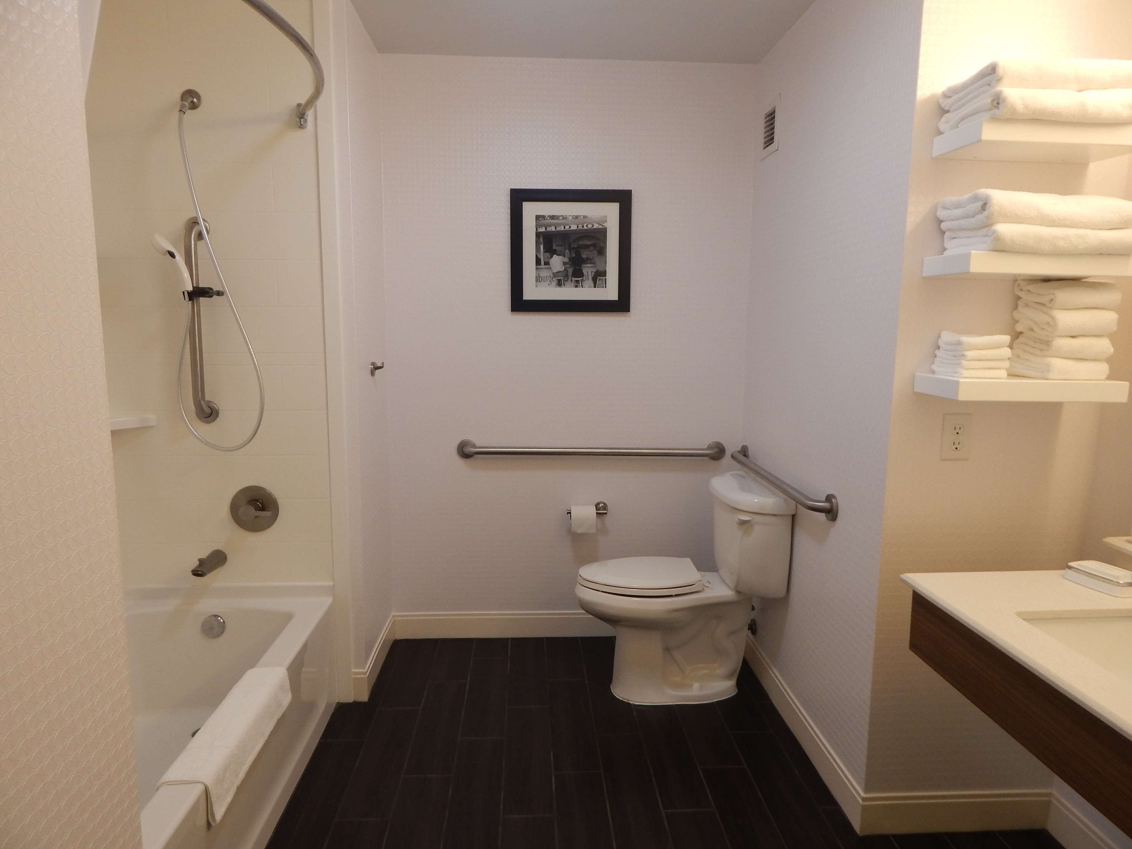 room, 1 king bed, accessible, non smoking | bathroom | shower, hair dryer, towels