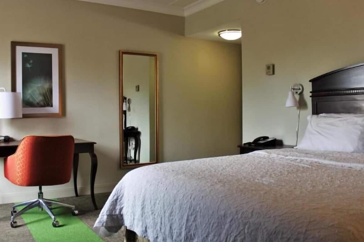 Quarto de hotel com cama, escrivaninha, cadeira, espelho e mesa de cabeceira com abajur.