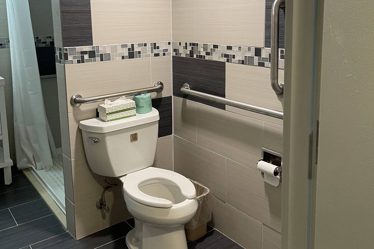 A modern bathroom with a toilet, handrails, and a shower area.
