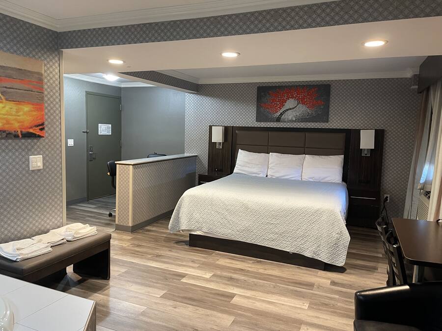 Habitación individual Deluxe, 1 habitación | Ropa de cama de alta calidad, escritorio, tabla de planchar con plancha