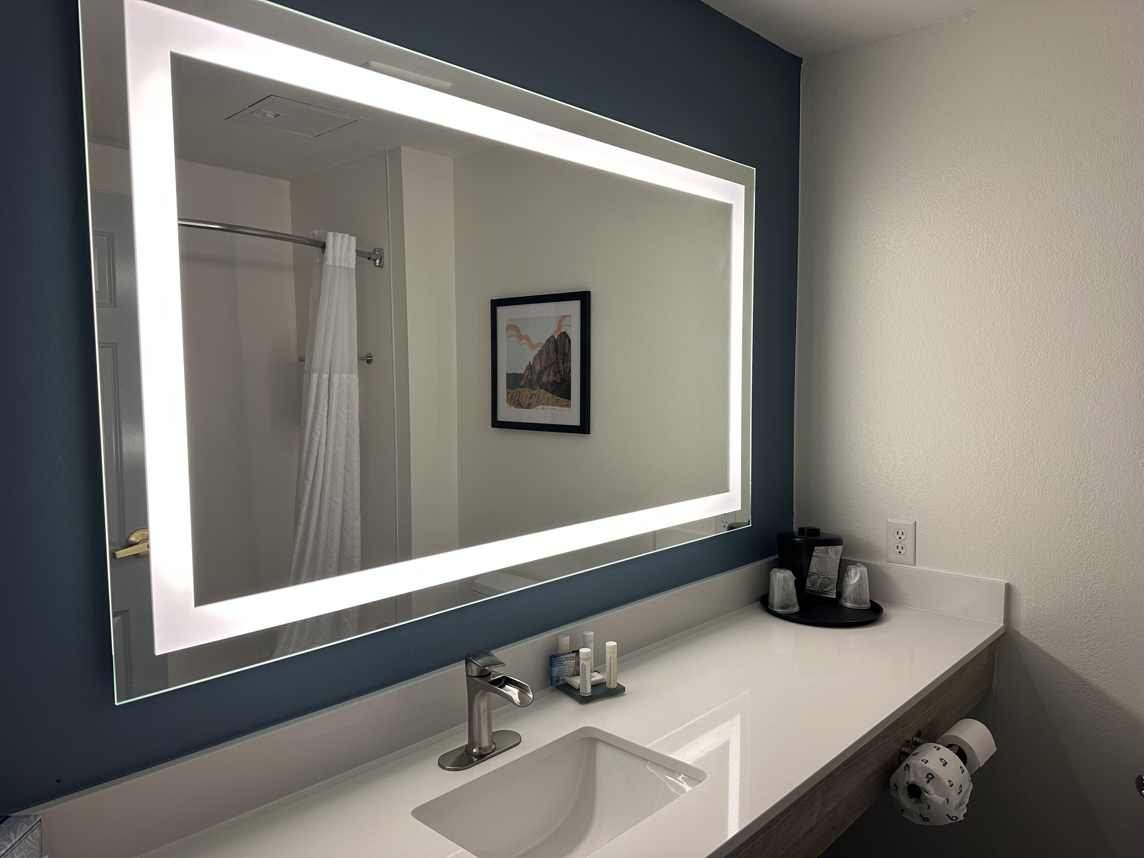 A bathroom with a large mirror, a sink, a towel rack, and a framed picture on the wall.