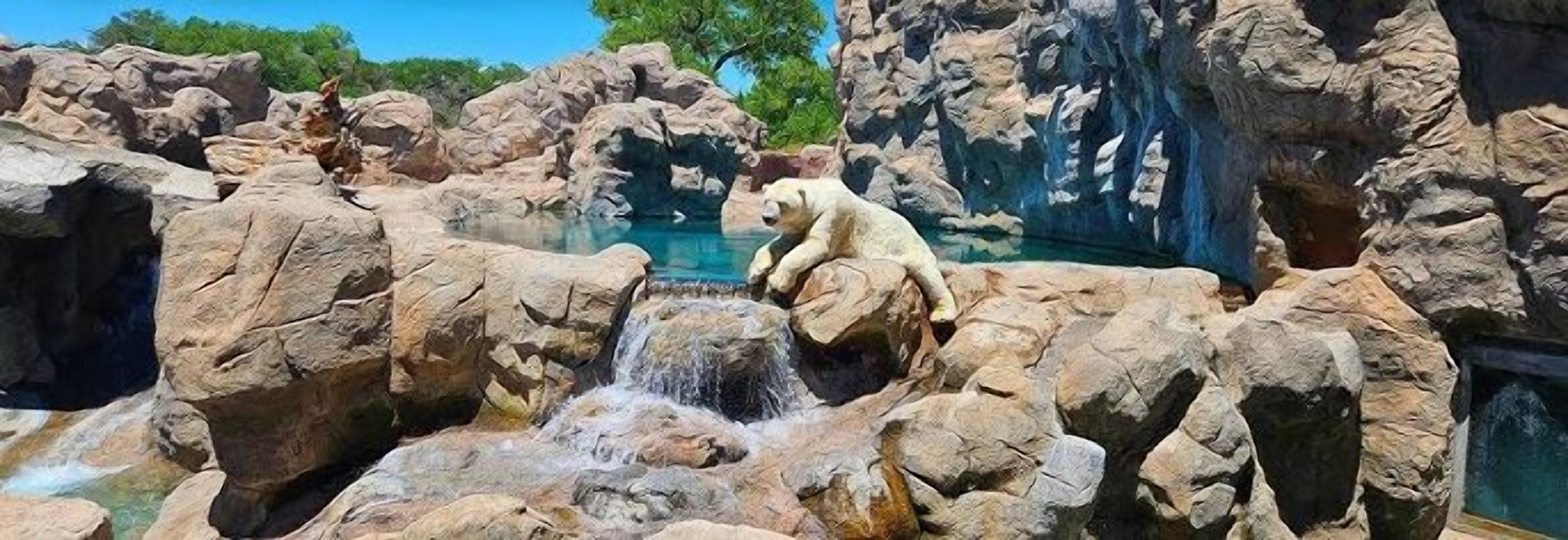 Een ijsbeer zit op rotsen nabij een waterval in een dierentuin.