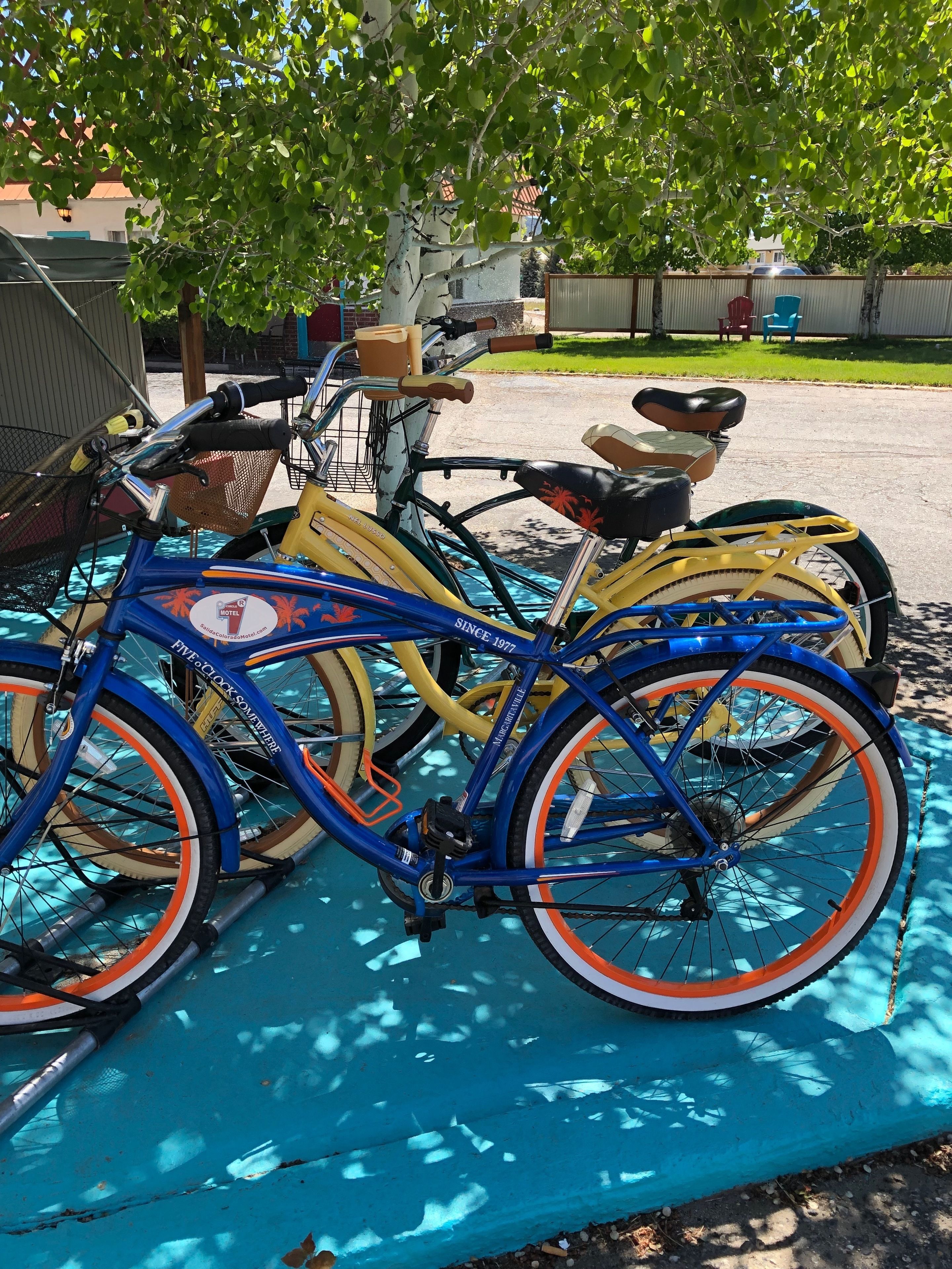 Une rangée de vélos est garée sur un tapis bleu, avec un arbre et un bâtiment en arrière-plan.