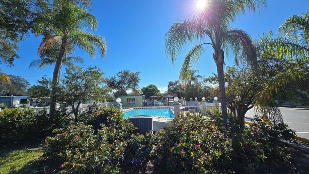 A pool area with a blue pool, surrounded by lush greenery and palm trees. - Gulf Way Inn (Clearwater)