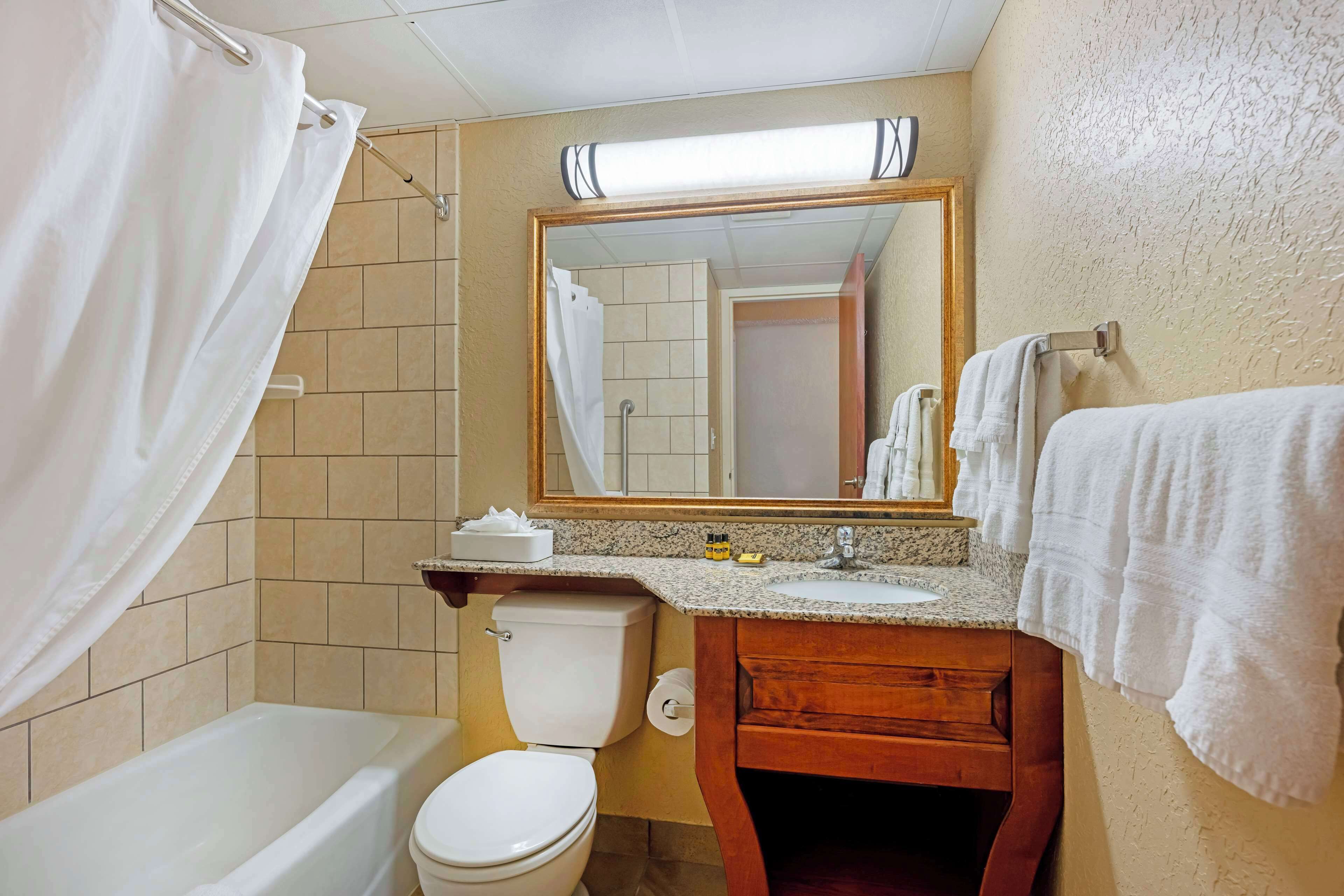 combined shower/bathtub, free toiletries, hair dryer, towels