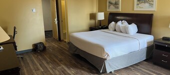 สตูดิโอ ลอดจ์ ลารามี