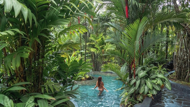 A pool surrounded by lush tropical vegetation.