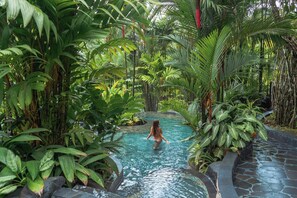 Piscina rodeada por vegetação tropical exuberante.