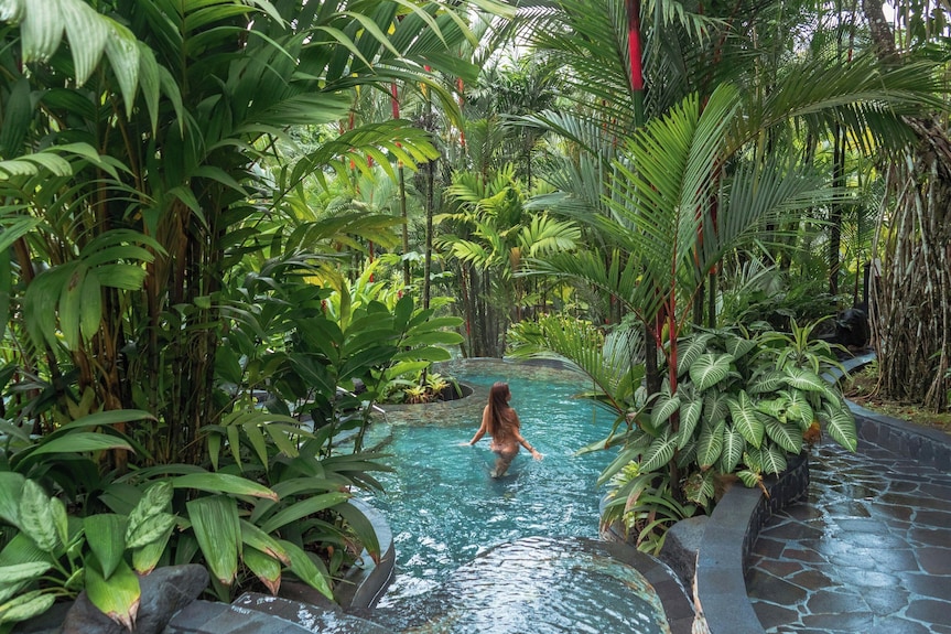 tobacco gardens resort Tabacón Thermal Resort & Spa Reviews, Deals & Photos 2026 tobacco gardens resort Tabacón Thermal Resort & Spa Reviews, Deals & Photos 2026