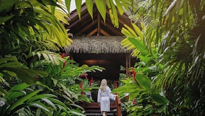 A wooden staircase leading to a thatched-roof structure surrounded by lush tropical foliage.