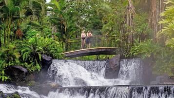 Un puente sobre una cascada, rodeado de abundante vegetación.