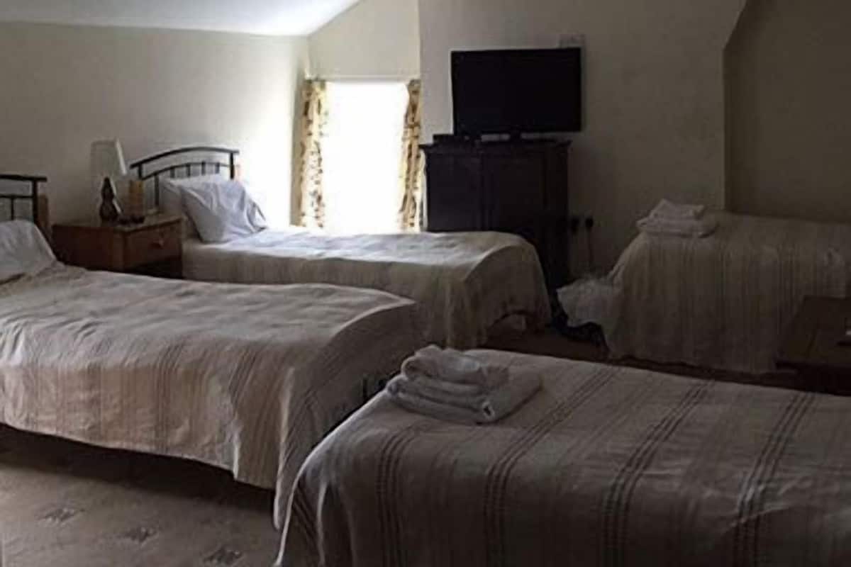 A bedroom with two beds, a television on the wall, and a window with curtains.