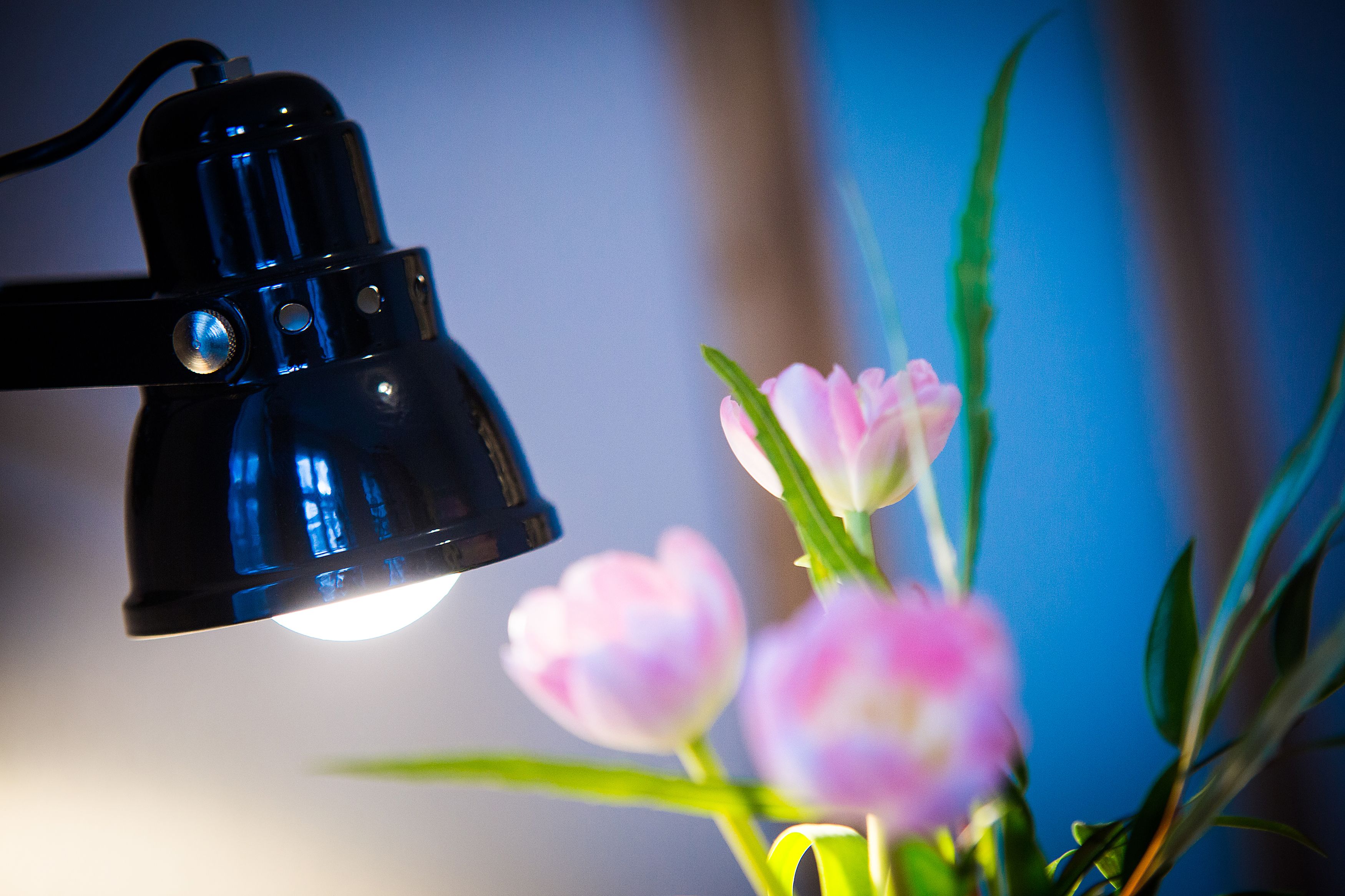 A desk lamp with a visible bulb and a plant with pink flowers.