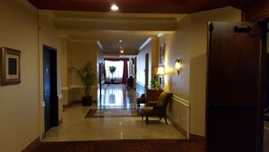 A hotel hallway with a polished floor, a potted plant, a chair, and a door.