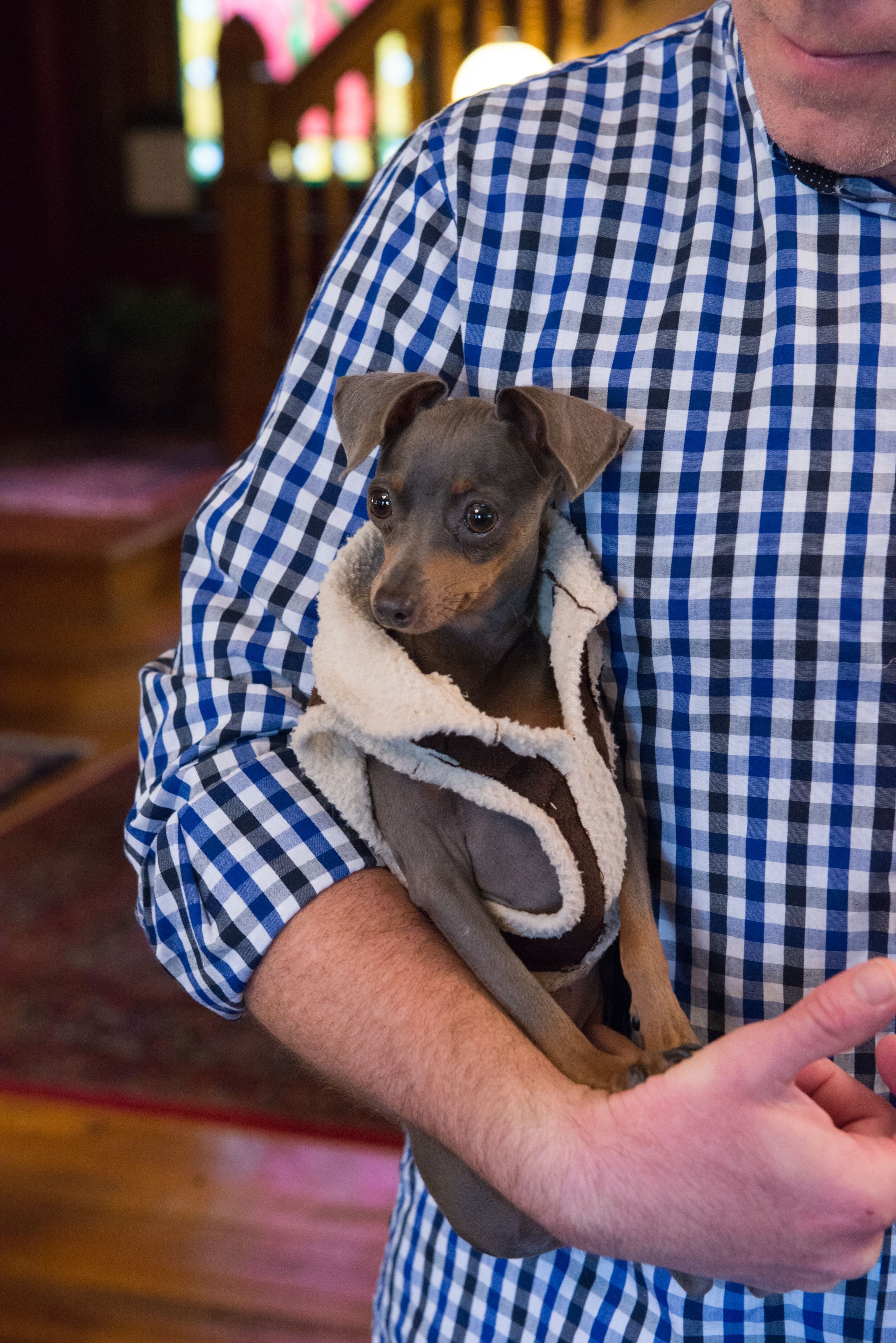 A person holding a small dog in a checkered shirt.