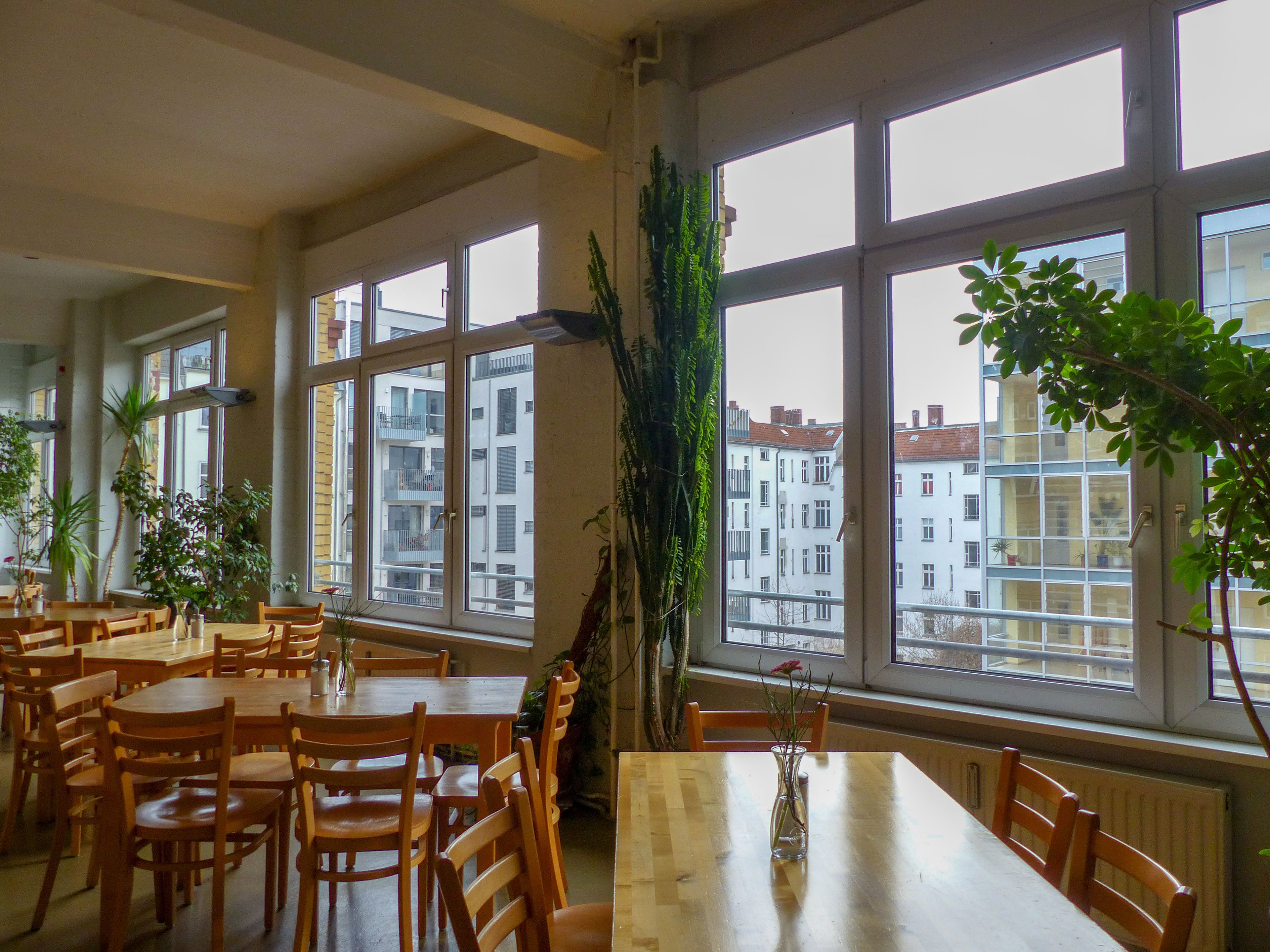 Un comedor con mesas y sillas de madera, ventanas amplias con vistas a edificios y plantas en macetas.
