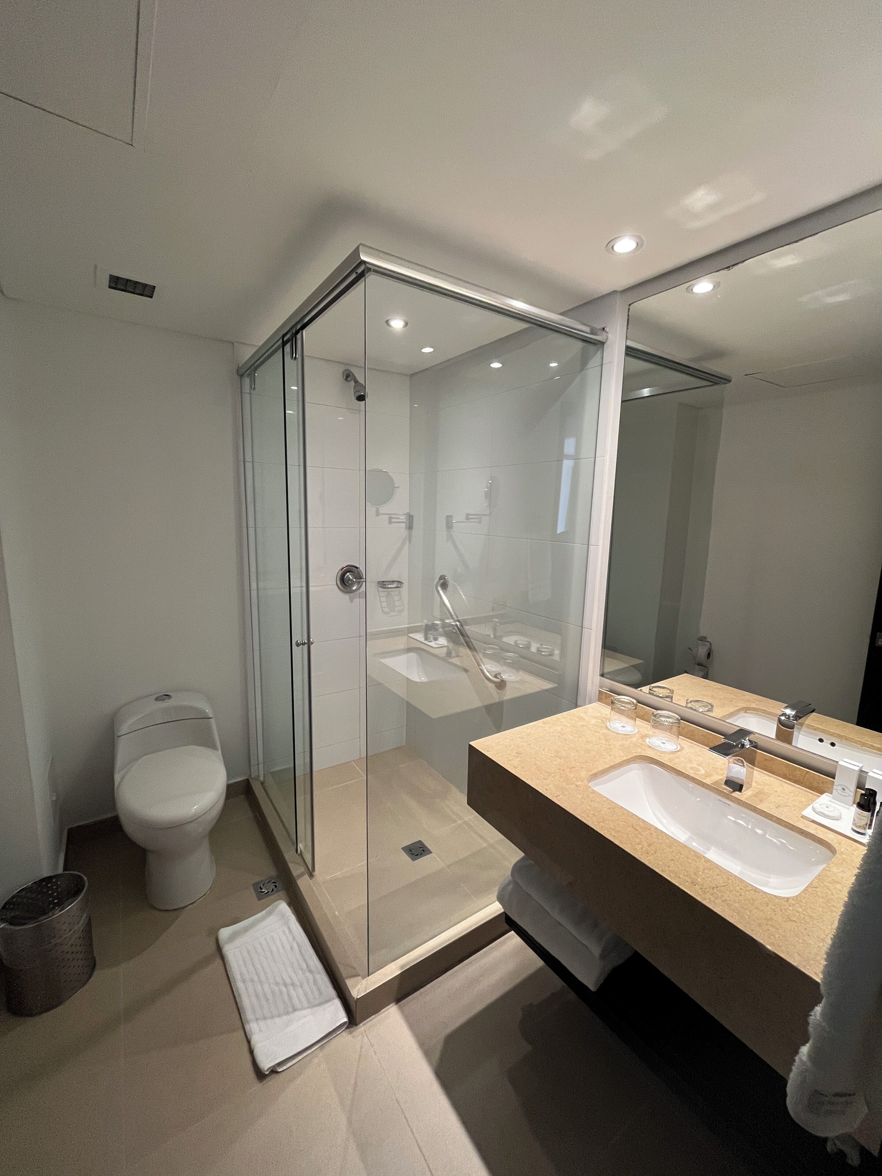 shower, free toiletries, hair dryer, towels