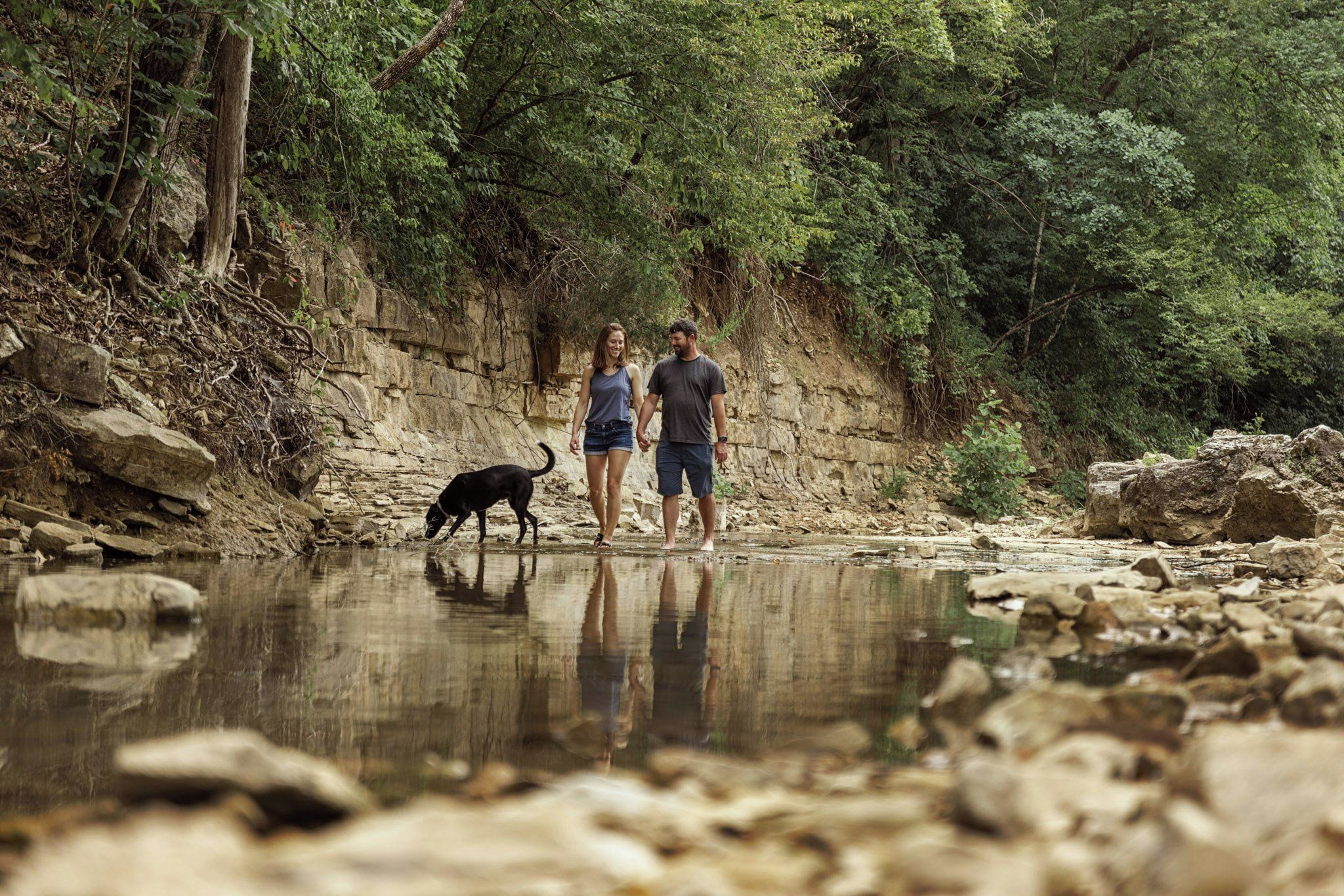 A natural outdoor setting with a rocky riverbank, a person and a dog, and dense greenery in the background.