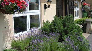 Ein Gebäude mit einem hängenden Blumenkorb, einer Wandleuchte und einem Garten mit violetten Blüten.