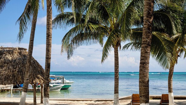 A beach with palm trees, a thatched hut, and a boat in the water. - Corona Del Mar (San Pedro)