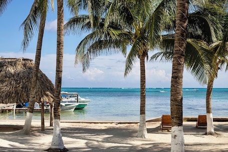 Vista a la playa o al mar. Corona Del Mar