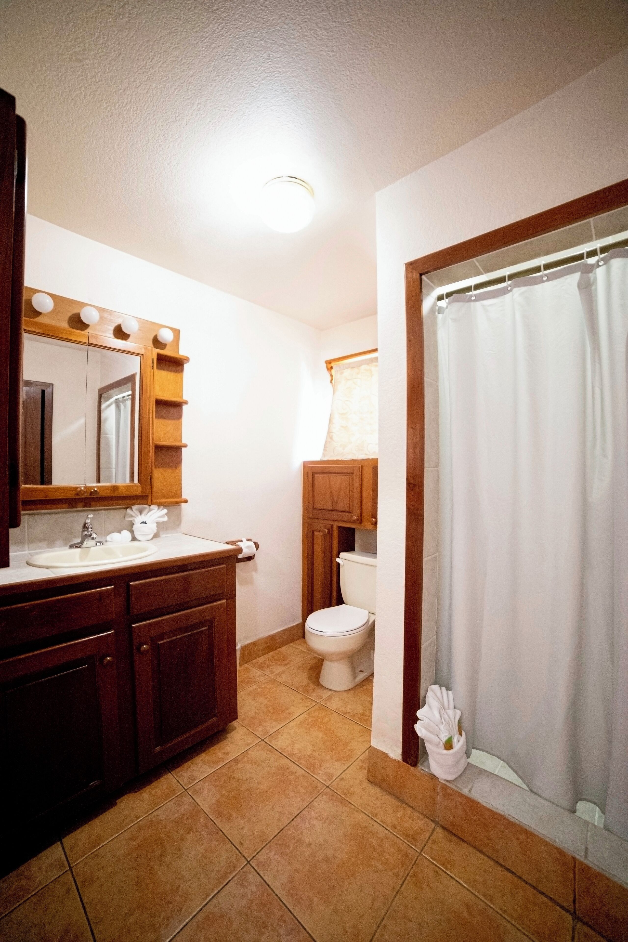 A bathroom with a wooden vanity, a mirror with lights, a toilet, and a shower curtain.
