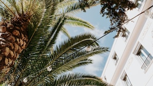 A palm tree with a stone base and hanging lights, a clear blue sky, and a white building with balconies. - Hotel Le Petit Castel (Antibes)