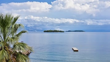 A calm body of water with a small island in the distance, a dock, and a palm tree on the left.