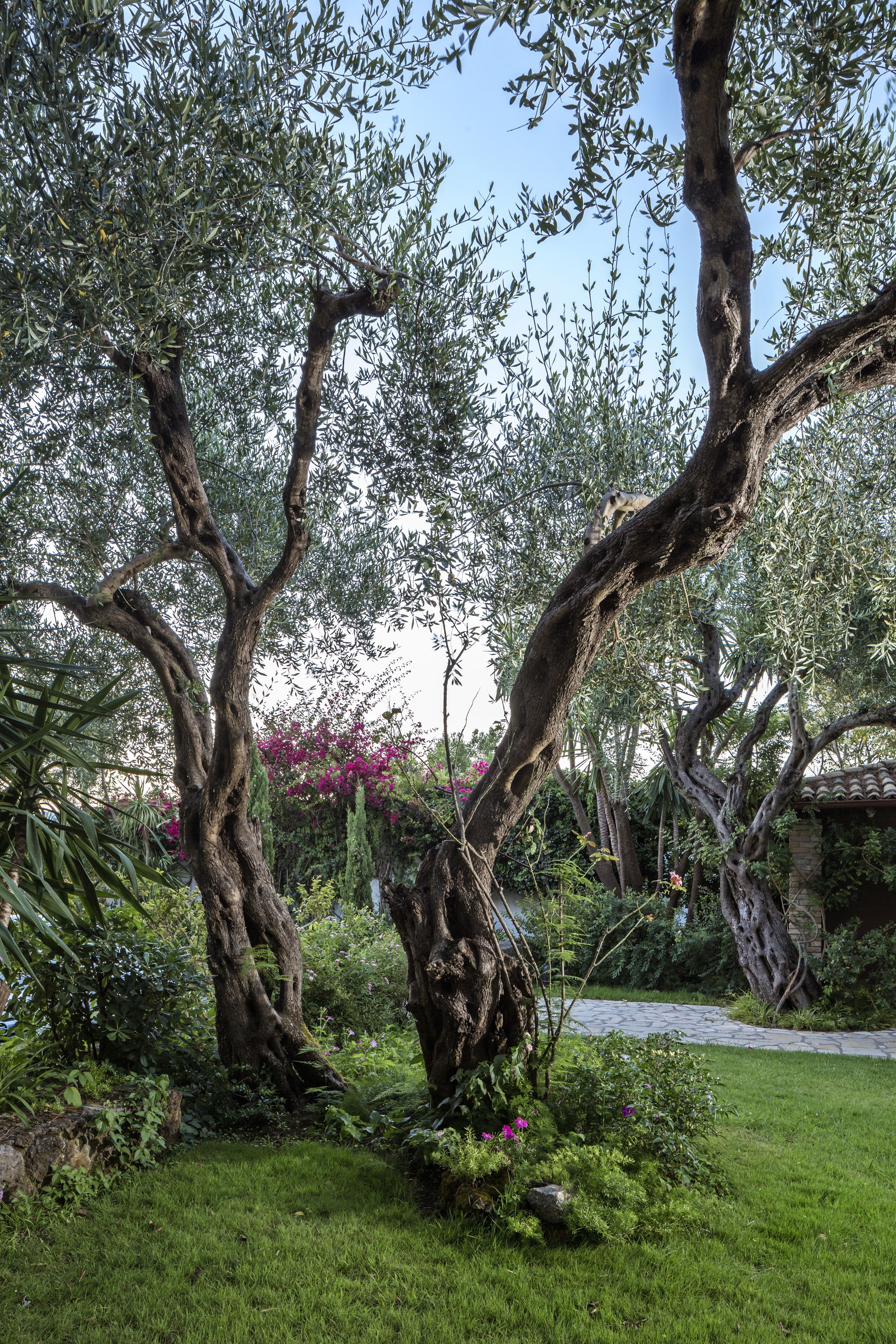 Photo - Kontokali Bay Resort & Spa