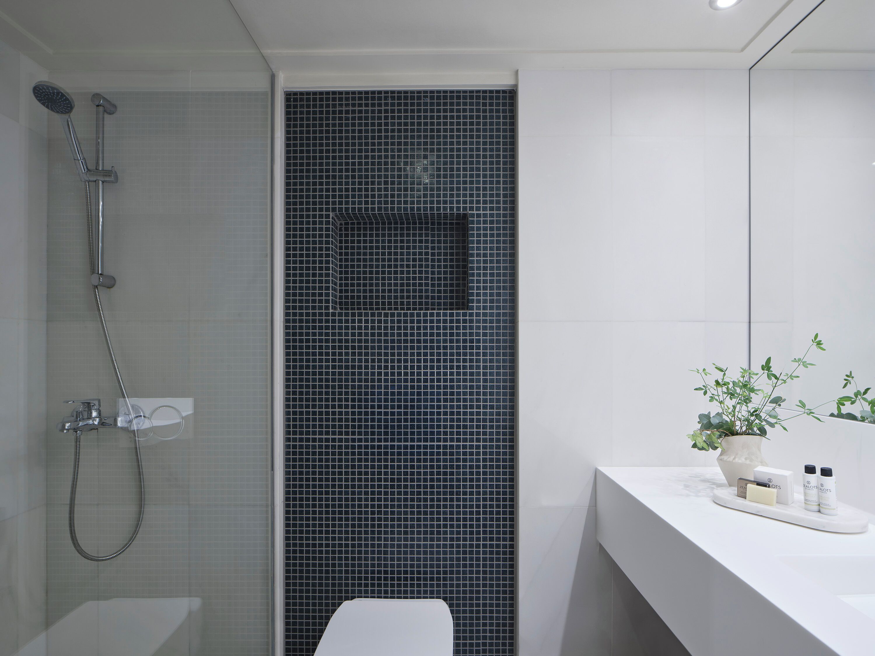 Une salle de bain moderne équipée d’une douche, de toilettes et d’un lavabo.