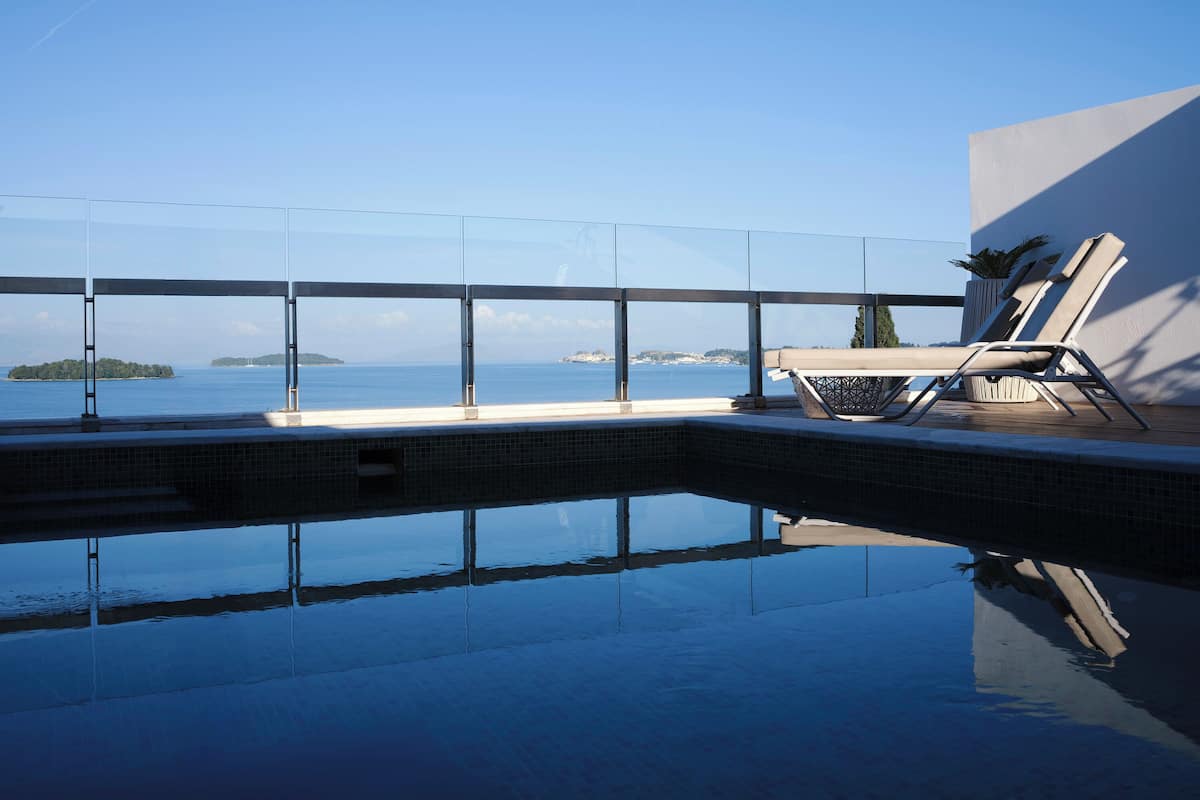 An infinity pool with a clear view of the sea, a lounge chair, and a potted plant.