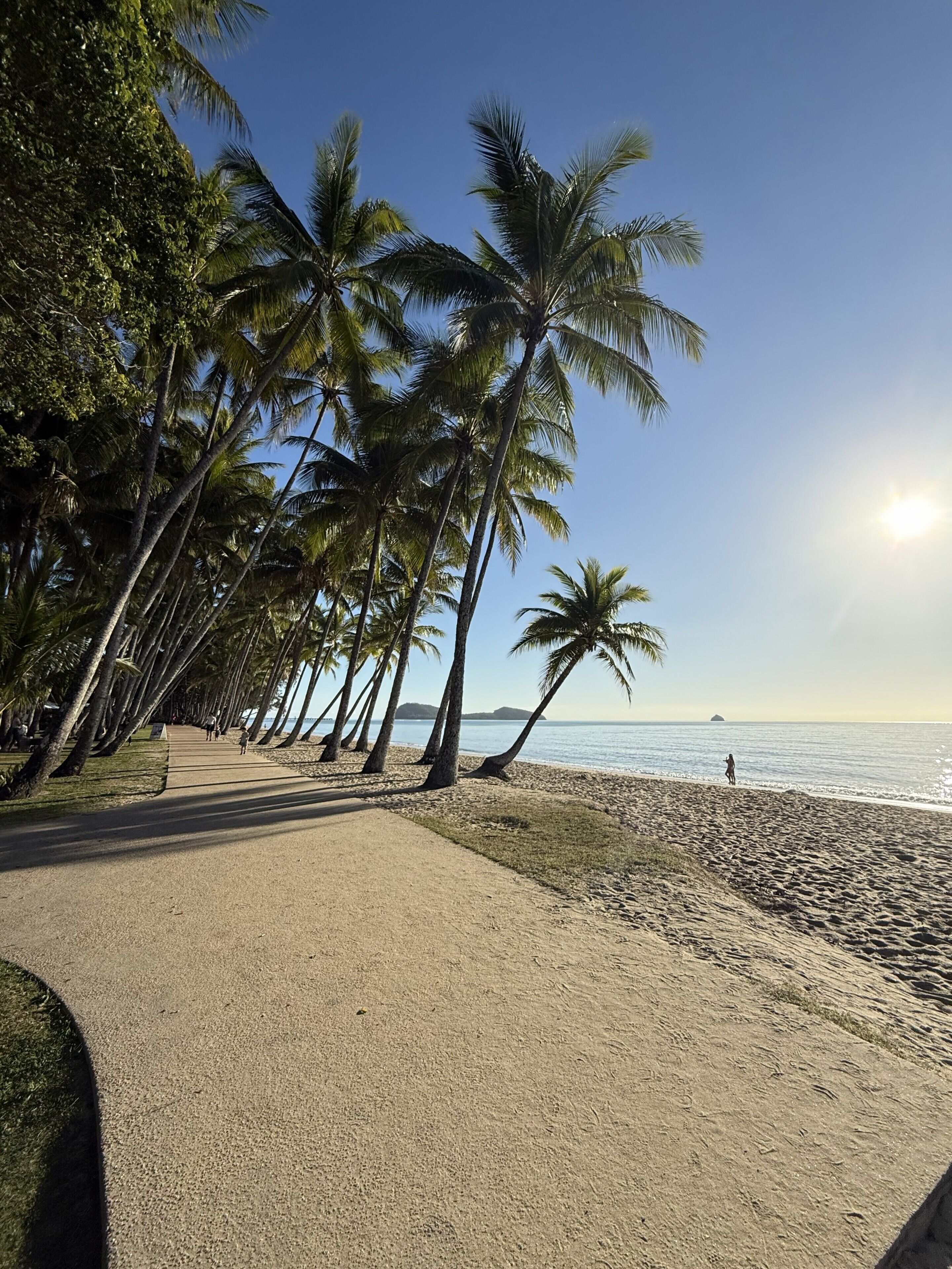 Un sentier pavé, bordé de palmiers, mène à la plage.