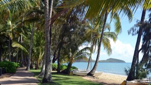 A pathway leading to a beach with palm trees and boats. - Melaleuca Resort (Palm Cove)