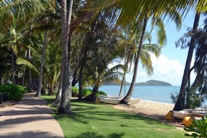 Un sendero que lleva a una playa con palmeras y barcos.