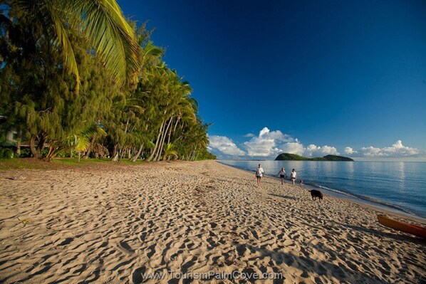 A sandy beach with palm trees and a clear blue sky. - Melaleuca Resort (Palm Cove)