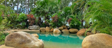 Piscine extérieure, chaises longues