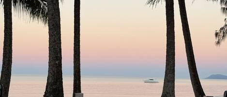 A beach scene with palm trees, a parked car, and a boat in the distance.
