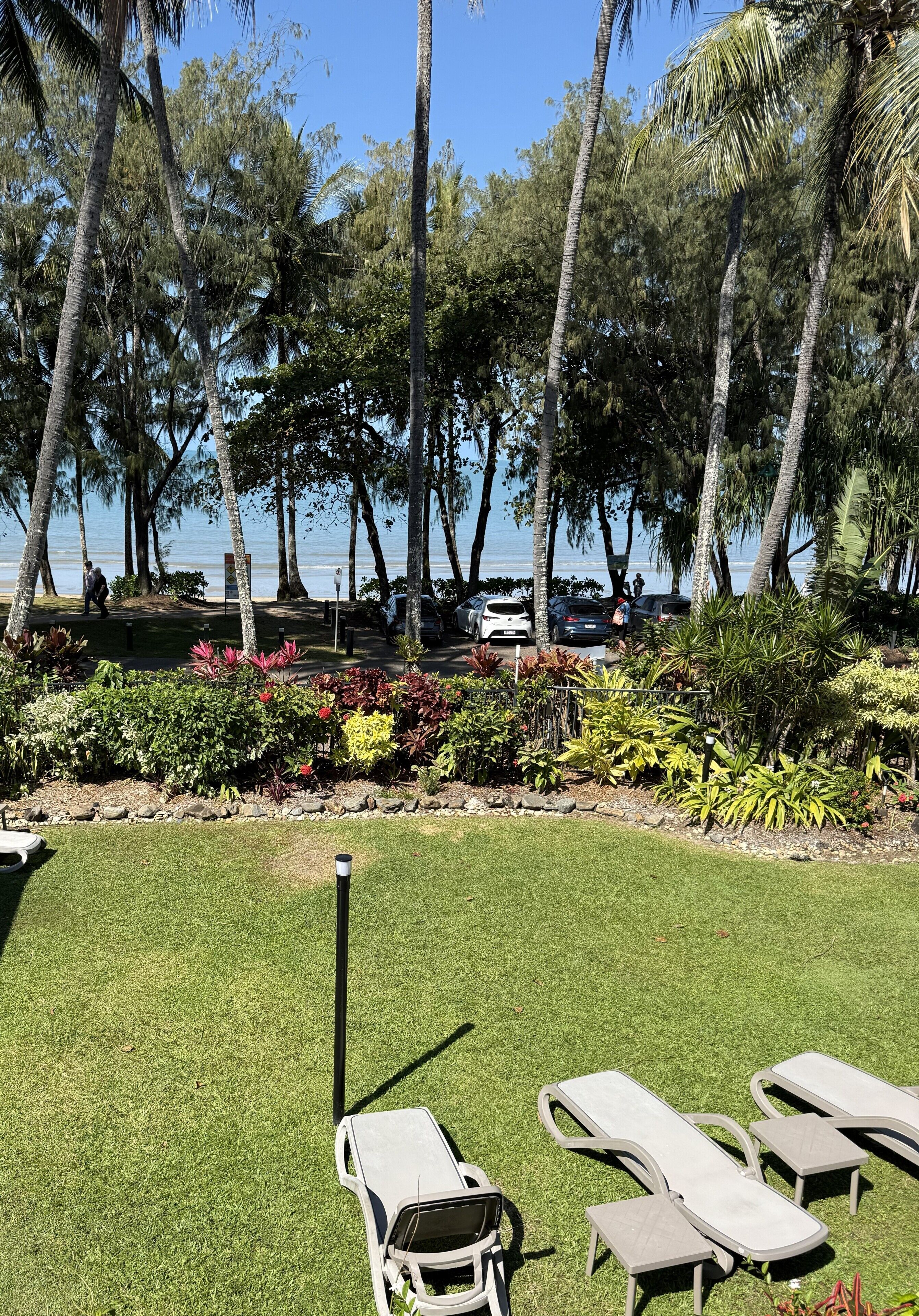 A grassy area with lounge chairs and a view of the beach and palm trees.