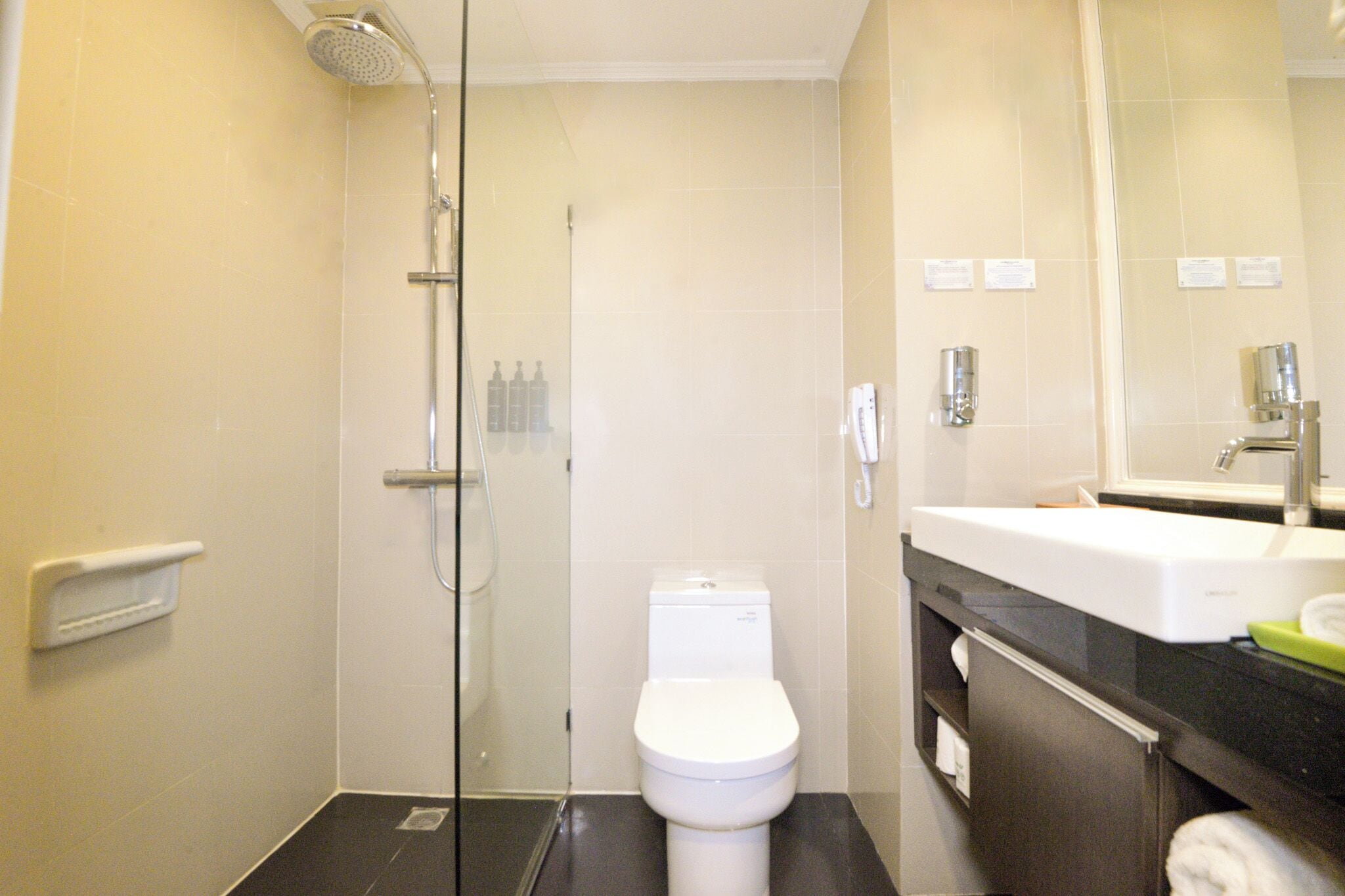 A modern bathroom with a glass-enclosed shower, a white toilet, and a large mirror above a black countertop sink.