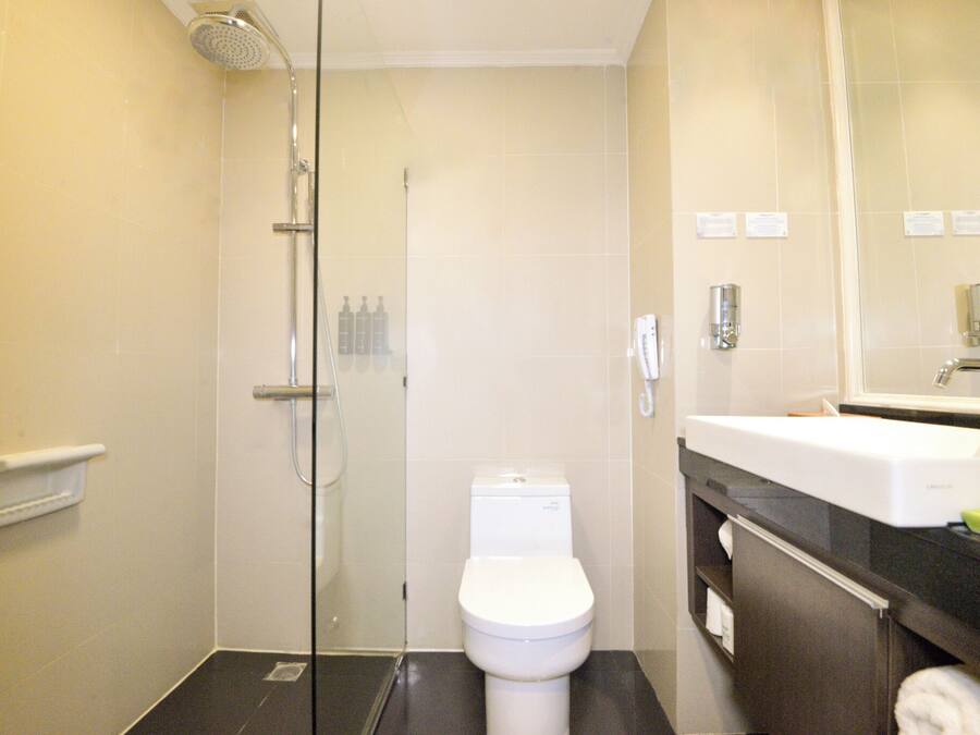 A modern bathroom with a glass-enclosed shower, a white toilet, and a large mirror above a black countertop sink.