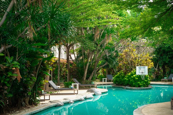 Outdoor pool, pool loungers