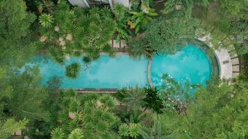 Outdoor pool, sun loungers