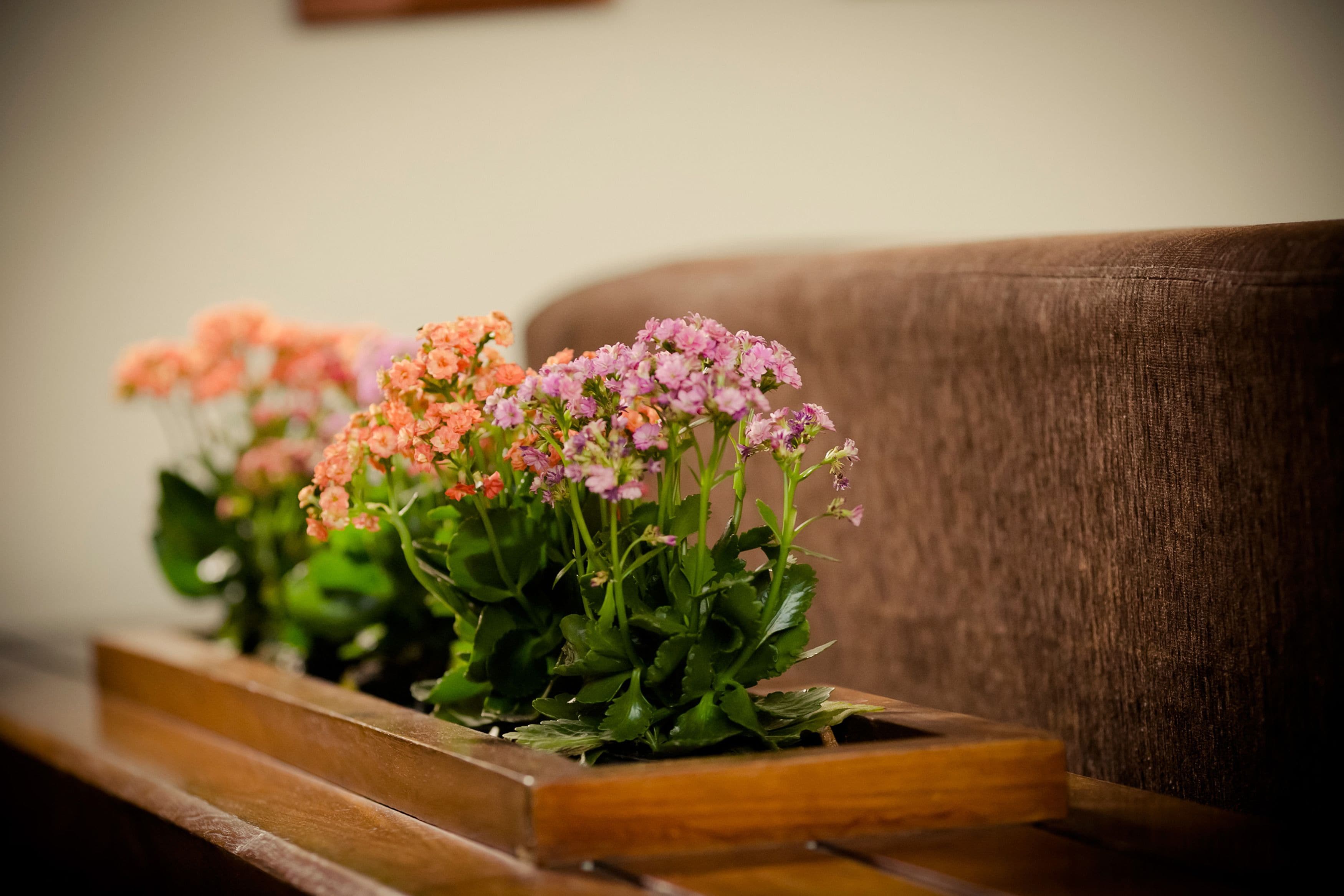 Foto - Carmel Express Hotel